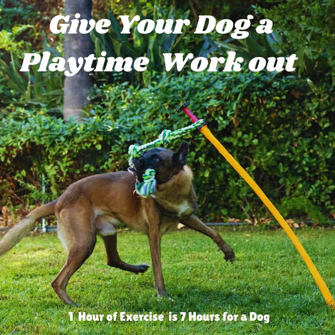 Outdoor Tug Pole Toy for High Energy Dogs Aggressive Chewers Big and Small Dogs