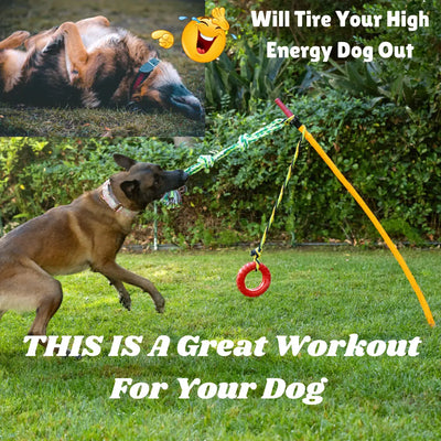 Best Toys for High-Energy Dogs to Keep Them Active & Happy