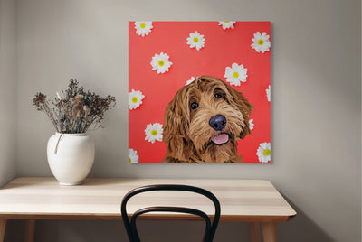 Absolutely Gorgeous  Colorful Daisy Flowers Canvas or Framed Canvas FREE DOG TOY WITH PURCHASE