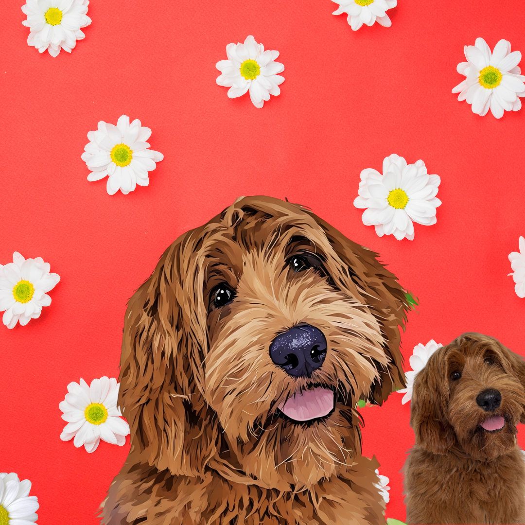 Absolutely Gorgeous  Colorful Daisy Flowers Canvas or Framed Canvas FREE DOG TOY WITH PURCHASE