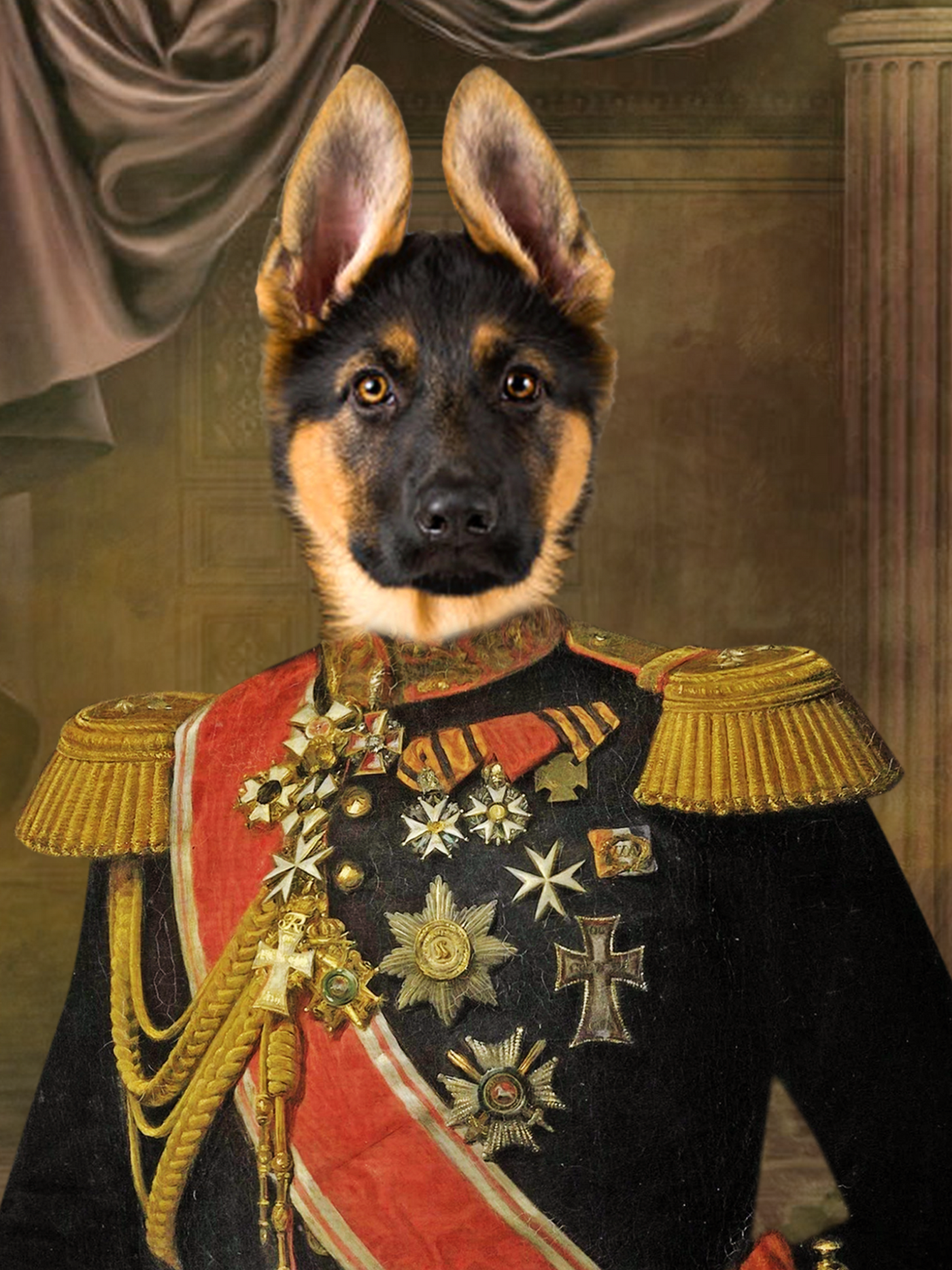 The General Pet Portrait