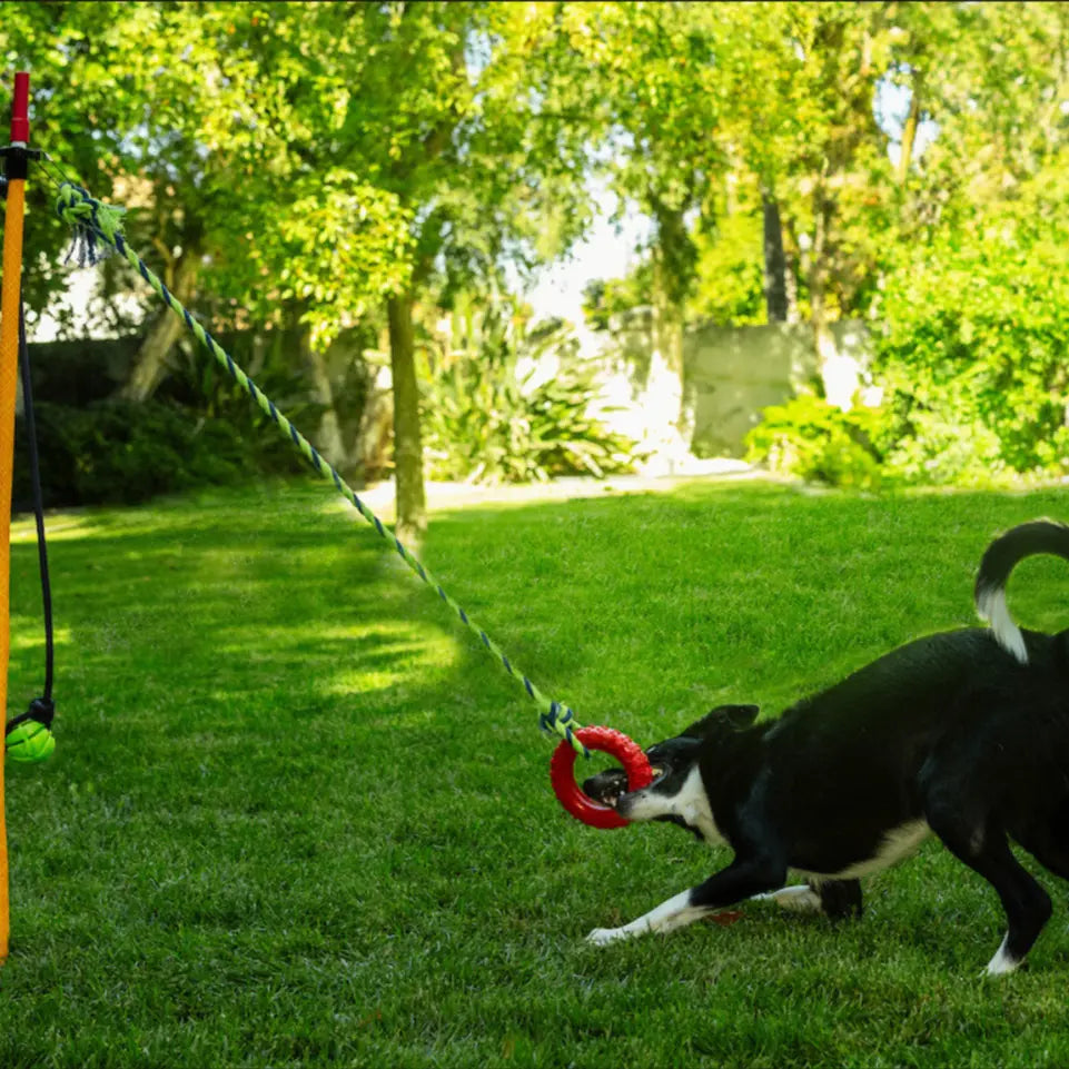 Tree Hanging Bungee Tug Toy Outdoor Dog Exercise Tumbo Tugger Hanging  Bungee Dog Toy - Outdoor Tree Tug Toy For Medium To Large Dogs Dog Tug Of  War Toy