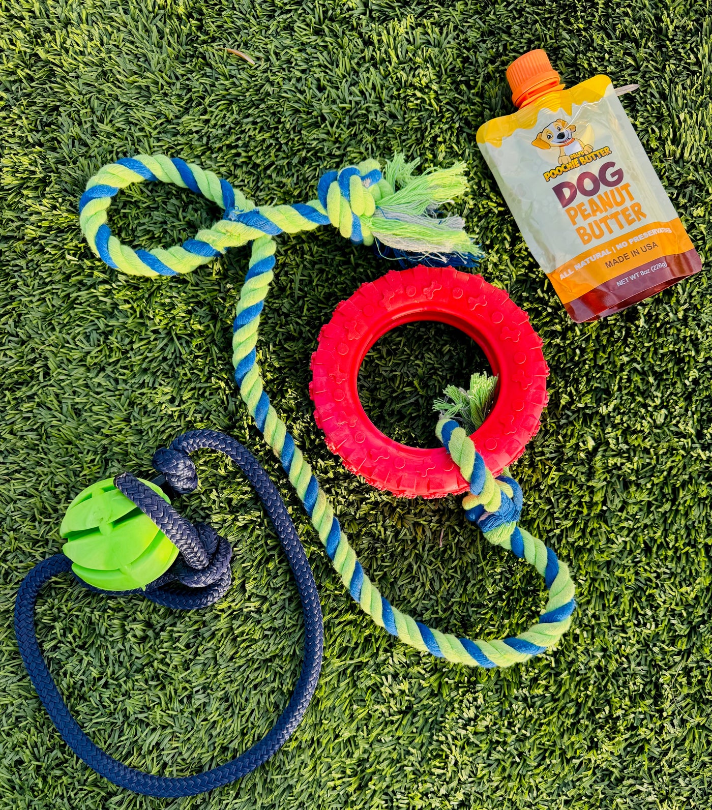 Best Toys for High-Energy Dogs to Keep Them Active & Happy