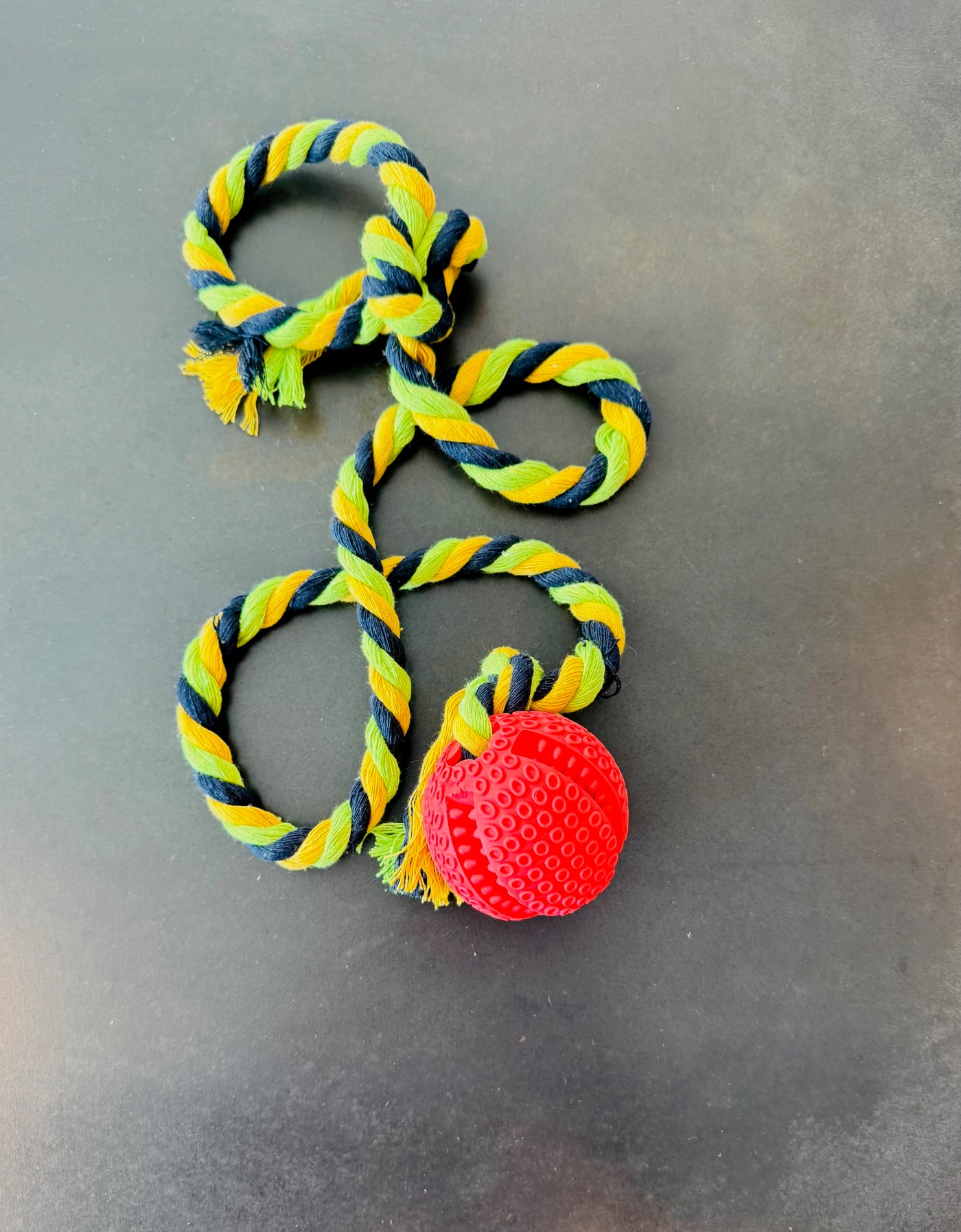 Durable Tug of War Dog Toy for Interactive Play & Fun